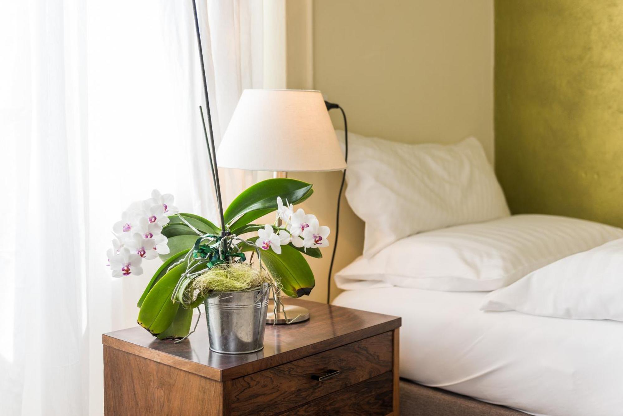 Albergo Hotel تيسيريته المظهر الخارجي الصورة